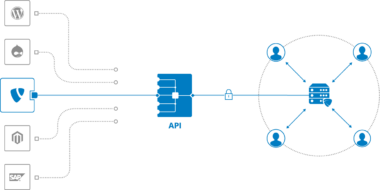 What Is An API Wrapper - Got API - All about APIs