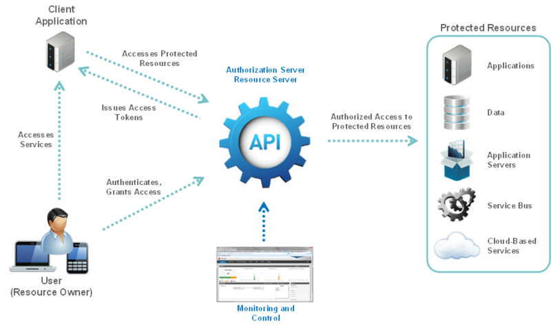 What Is the Purpose of API